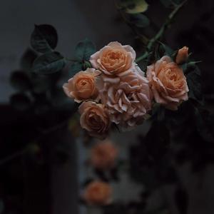 女生叉开腿让男生狂捅30分钟
